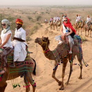 camel-r-de