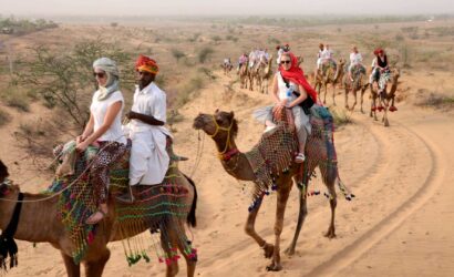 camel-r-de