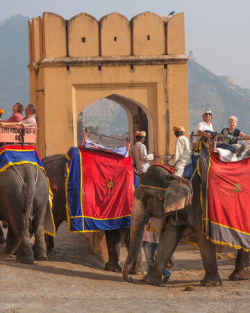 Elephant Ride